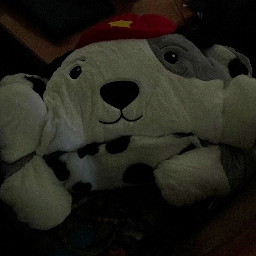 Dalmatian sleeping bag